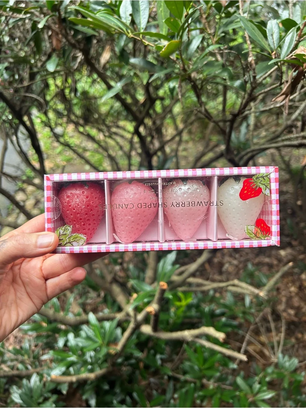 Anthropologie Pink & Red Strawberry Candle Set